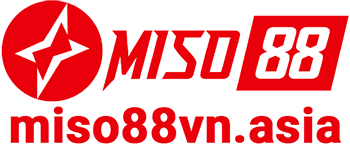 Miso88