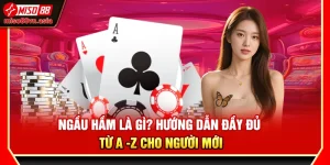 Ngầu Hầm Là Gì? Hướng Dẫn Từ A - Z Cho Người Mới Tại Miso88
