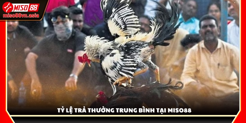 Tỷ lệ trả thưởng ổn định và minh bạch