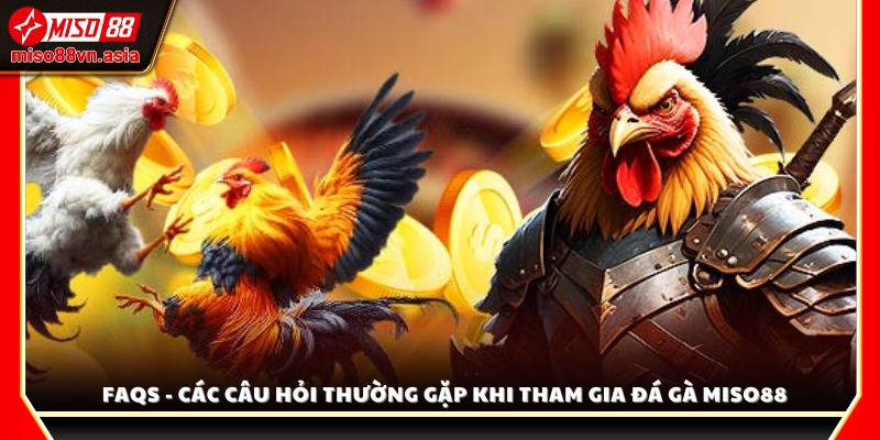 Giải đáp thắc mắc của người chơi khi tham gia sảnh Đá Gà Miso88