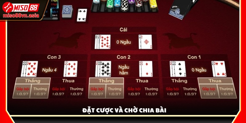 Chọn mức cược và chờ hệ thống chia bài tự động